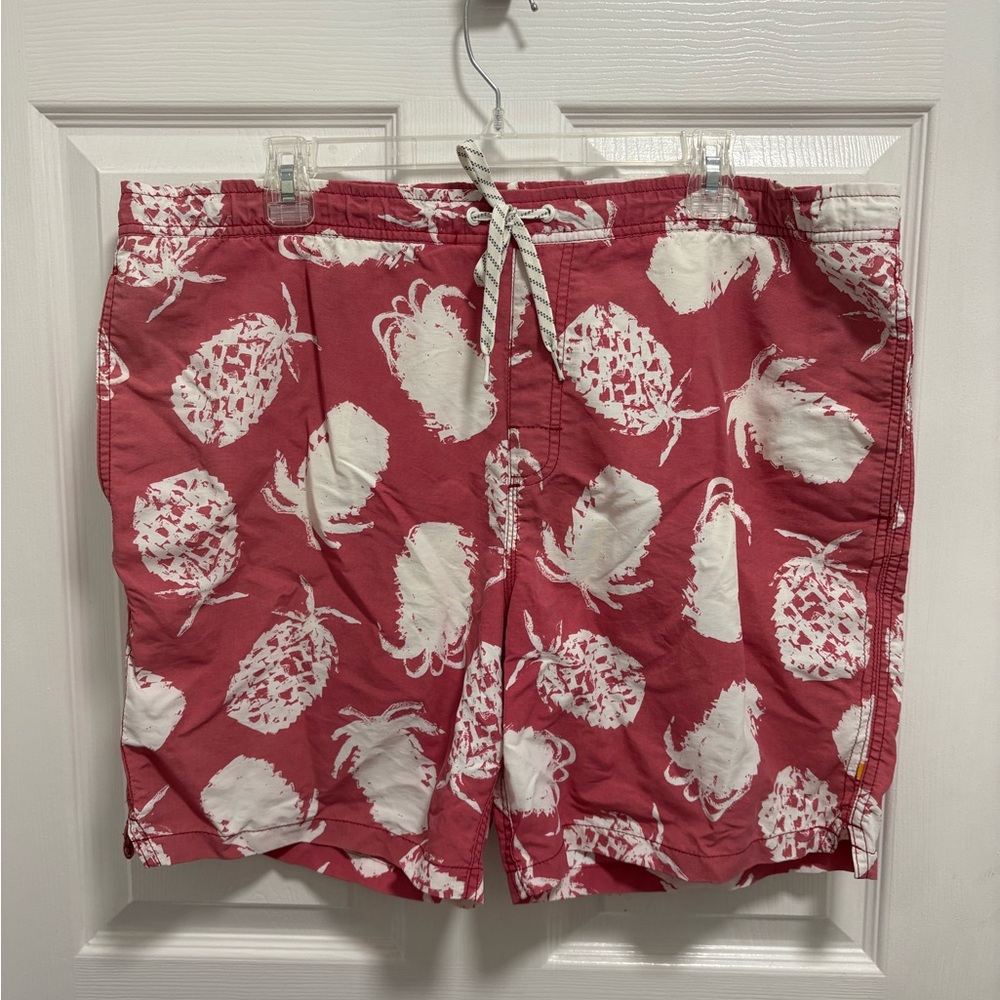 Waterman quicksilver Pink Red the Pineapple Print Shorts